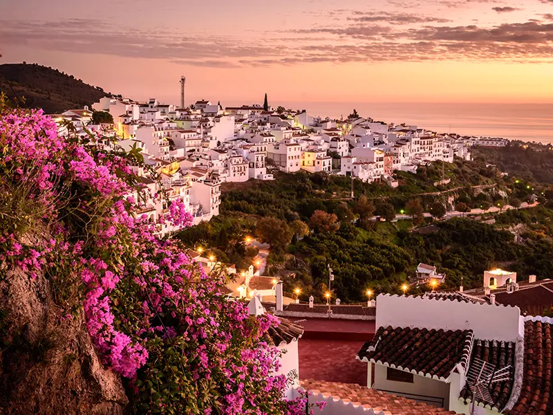 Mäklare Nerja Skandiamäklarna