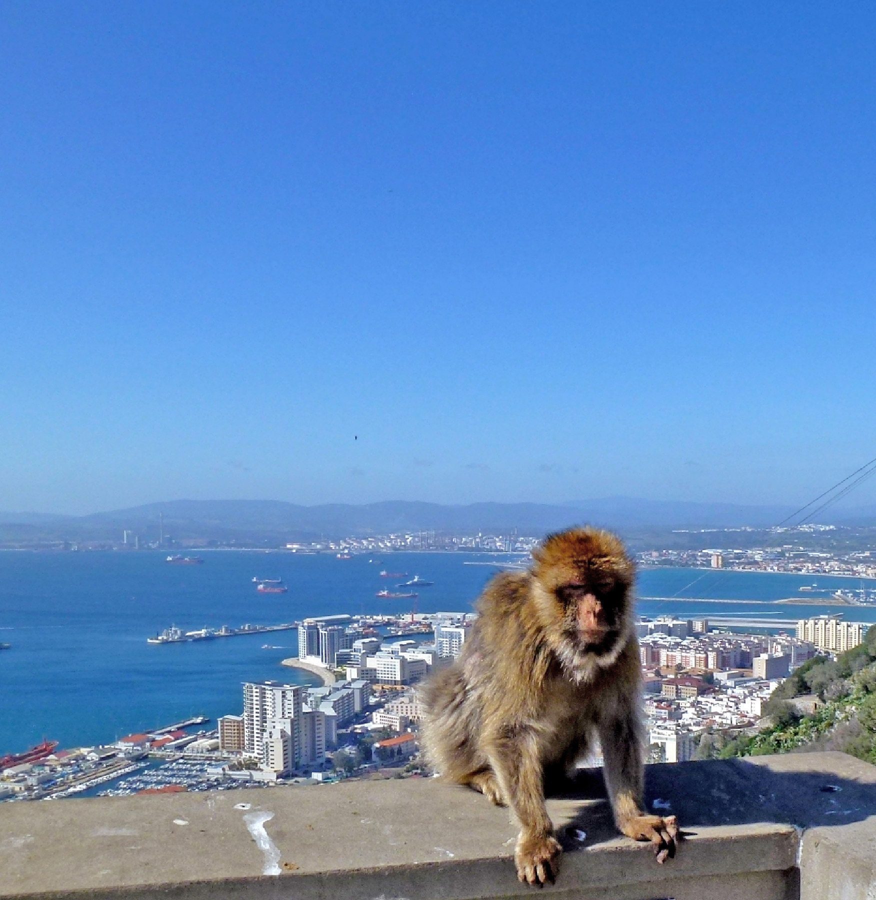 Gibraltar apa
